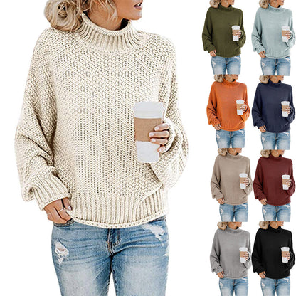 Women’s Solid Turtleneck Knit Sweater